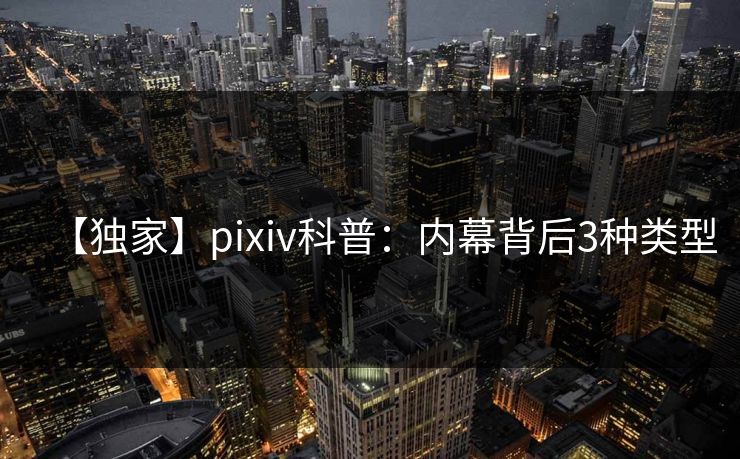【独家】pixiv科普:内幕背后3种类型 【独家】pixiv科普:内幕背后3种类型