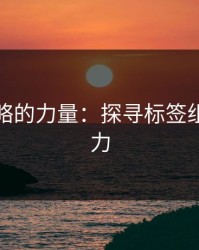 不被忽略的力量：探寻标签组合的潜力