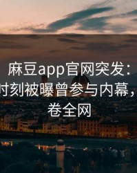 【爆料】麻豆app官网突发：业内人士在傍晚时刻被曝曾参与内幕，曝光席卷全网
